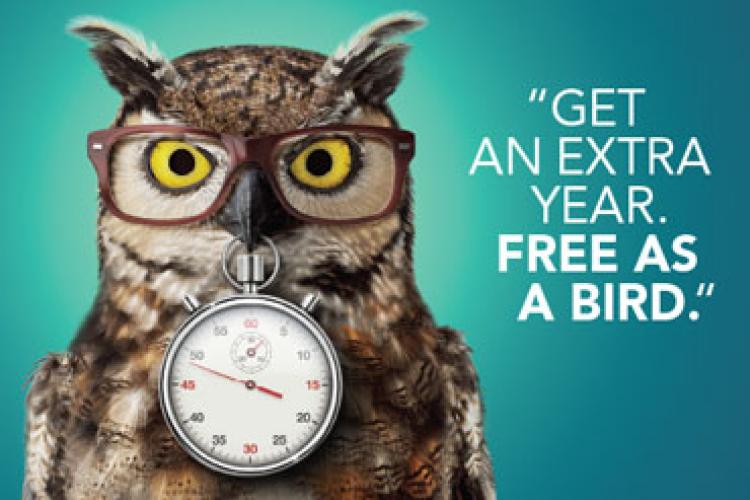 Direct Mail Postcard - "Free As A Bird"