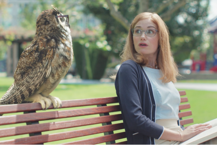 America's Best Owl – Keep Up